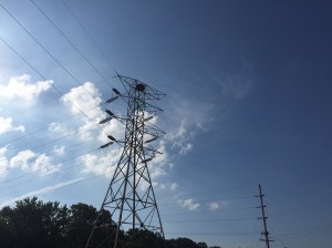 See the Eagle nest on top of the transmission tower